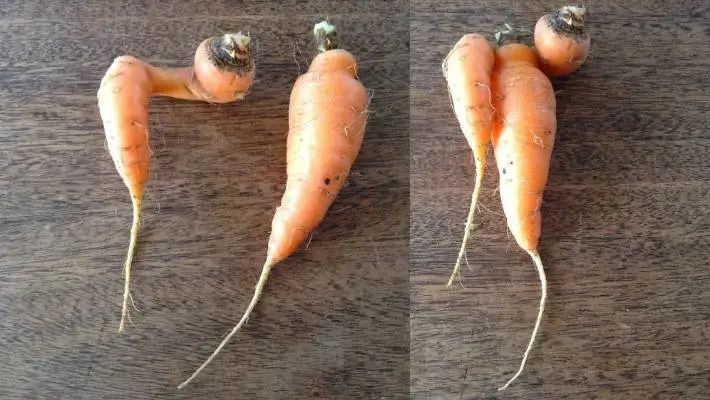 长得丑被抛弃,长得丑被人抛弃