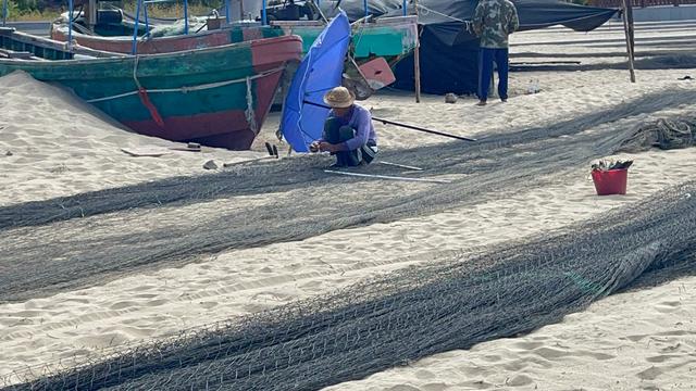 海南印象：女人太能干了，海边晒的大鱼*你干**认识吗？