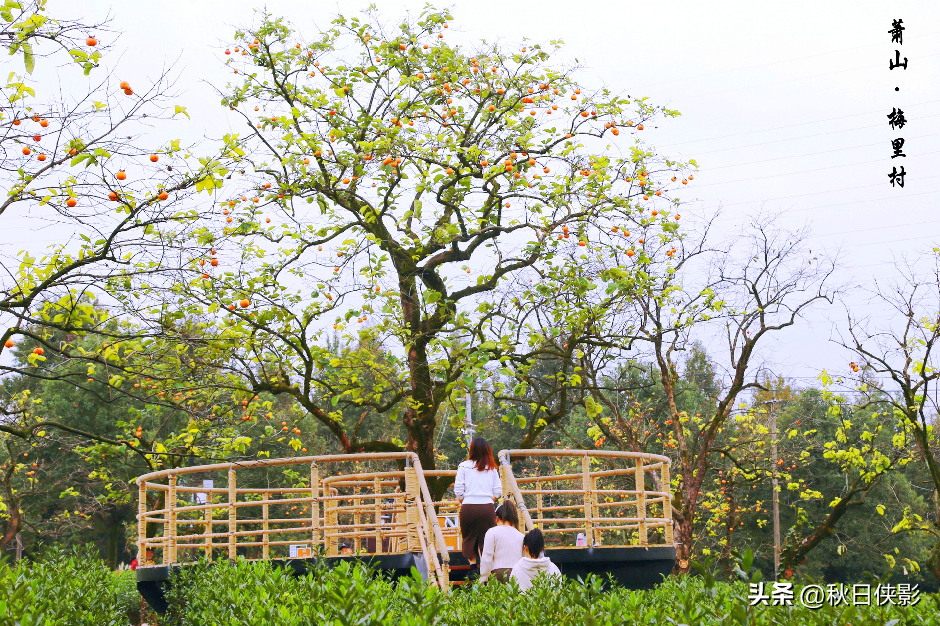 杭州周边秋日赏景好去处,杭州周边当季旅游景点推荐