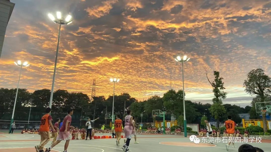 石碣四海学校和东盈学校哪个好,石碣四海学校2023年学费多少钱