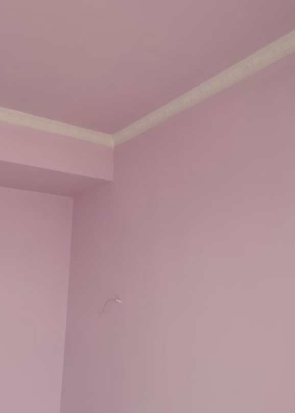 墙衣的五大缺点,墙衣怎么选