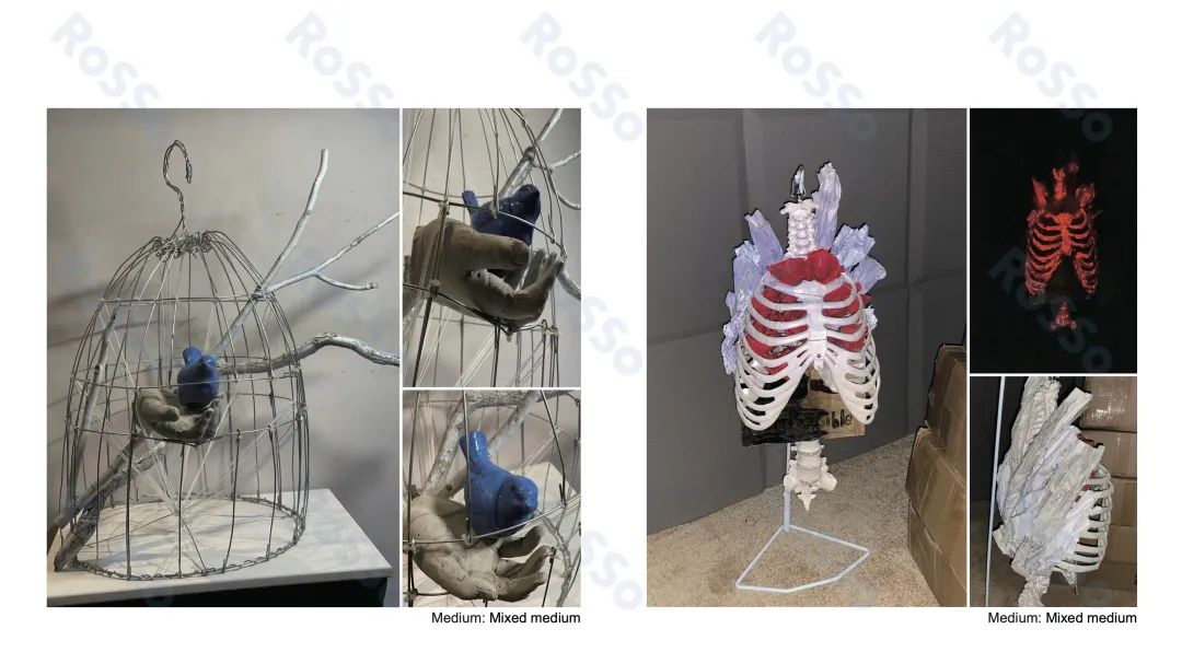 rosso留学怎么样,rosso留学咋样