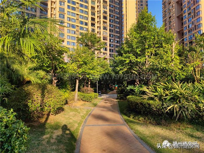 保姆房入户电梯,保姆电梯房