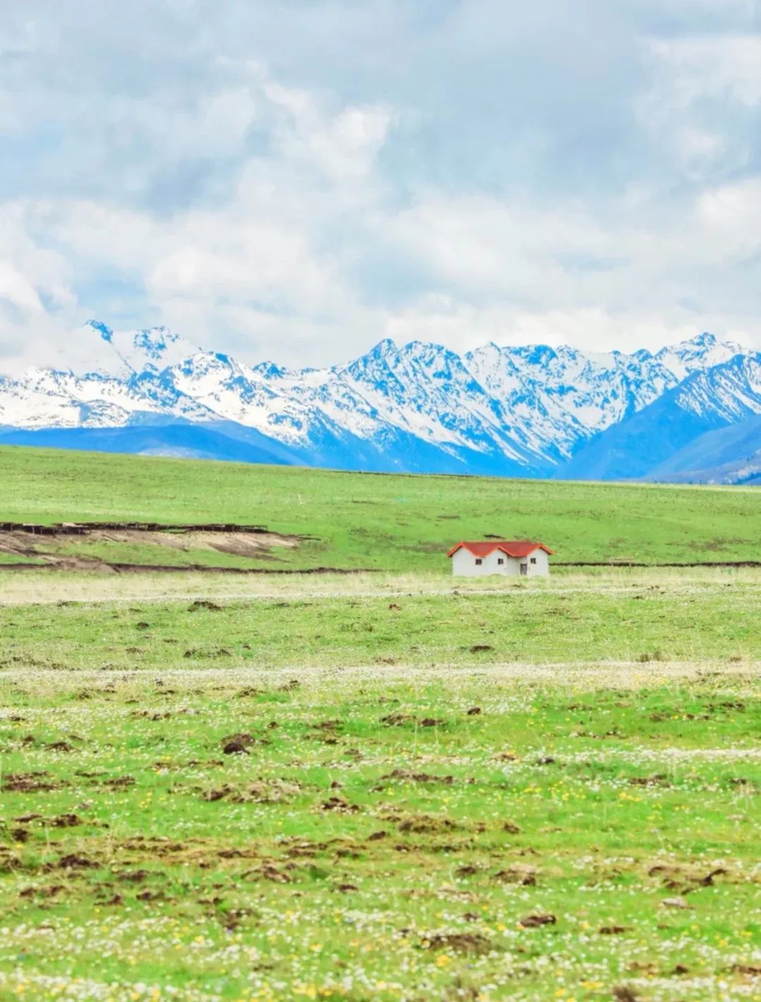 成都周边安静的民宿套房,成都周边清净民宿