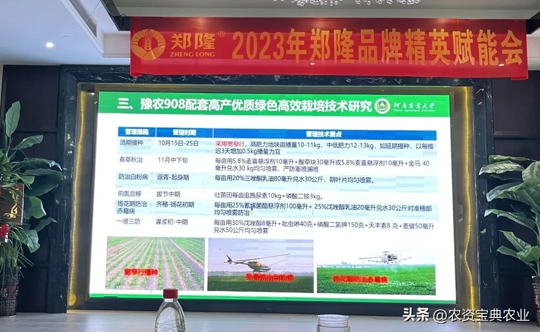 铸牢粮食安全新基石,筑牢粮食安全基石