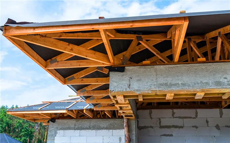 20万元在农村可以干些什么赚钱,农村年赚20万的项目