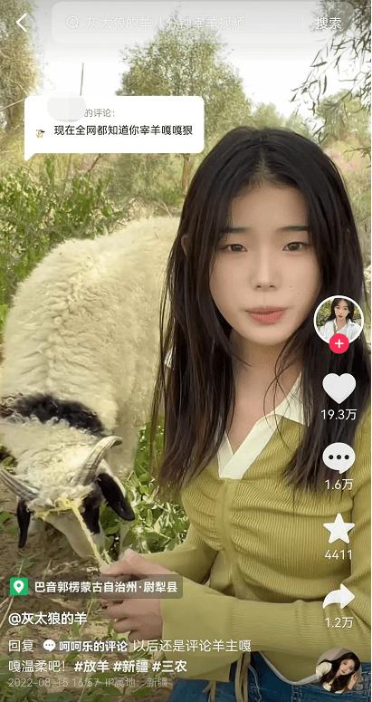 00后牧羊女孩直播回应涨粉百万,女孩新疆牧羊涨粉百万
