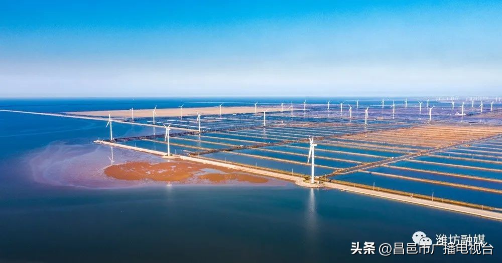 总要来趟潍坊昌邑吧!