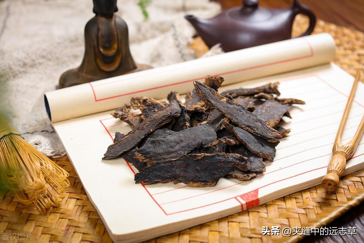 咳嗽有白痰也有黄痰中医,干咳痰少黄痰是风寒还是风热