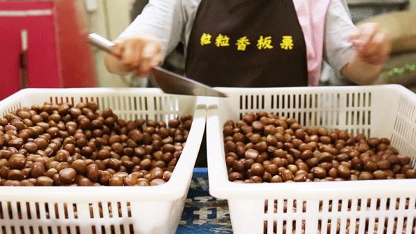 全国哪个地方的毛栗子最好吃,南京毛栗子