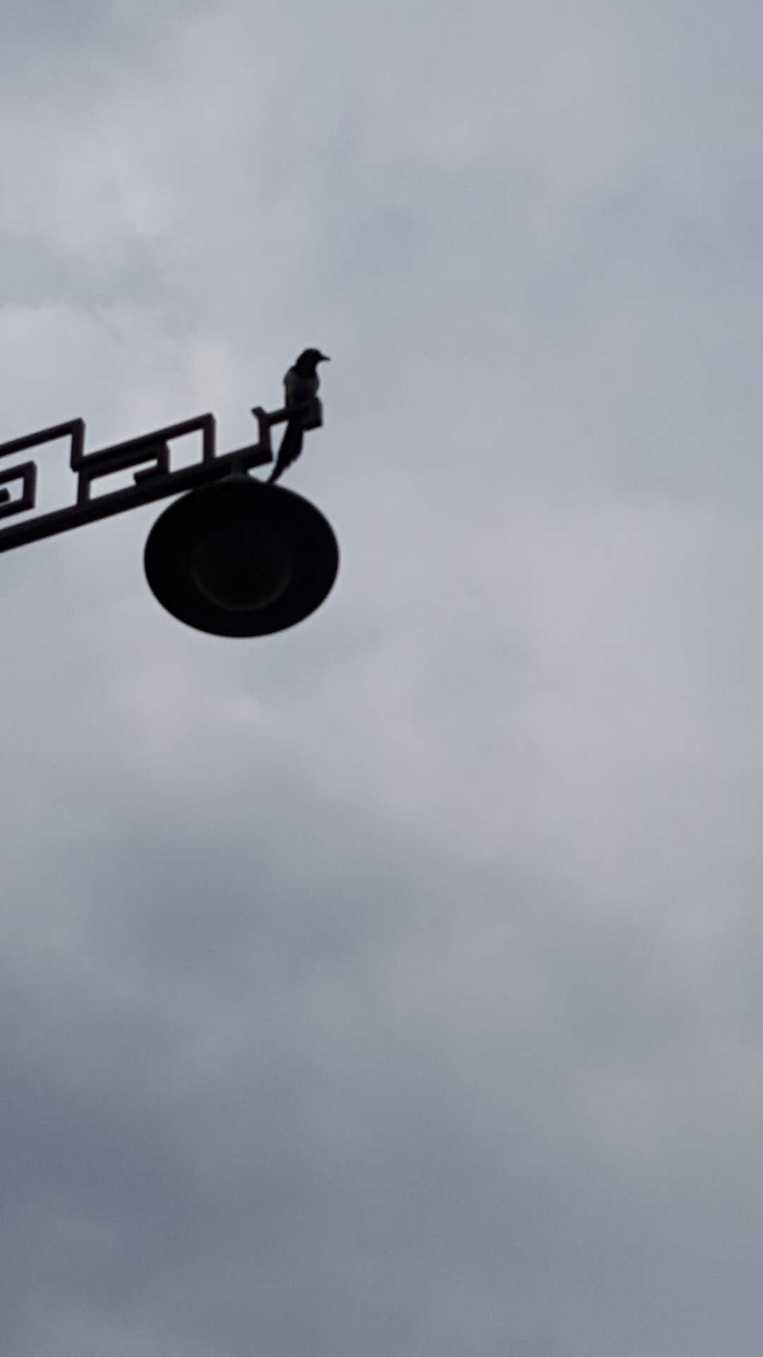 偶感（二）金钱的交换功能