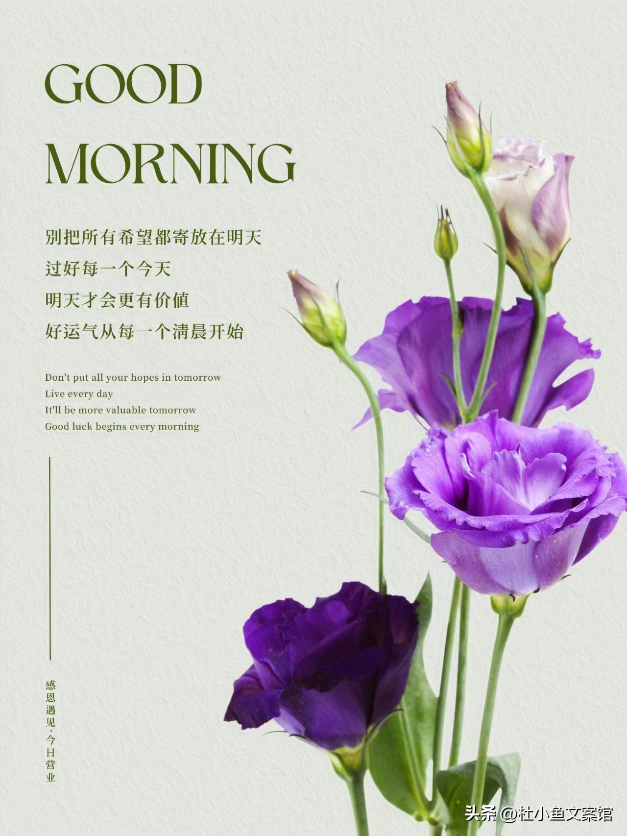 月底冲业绩文案配图片,月底冲业绩文案视频