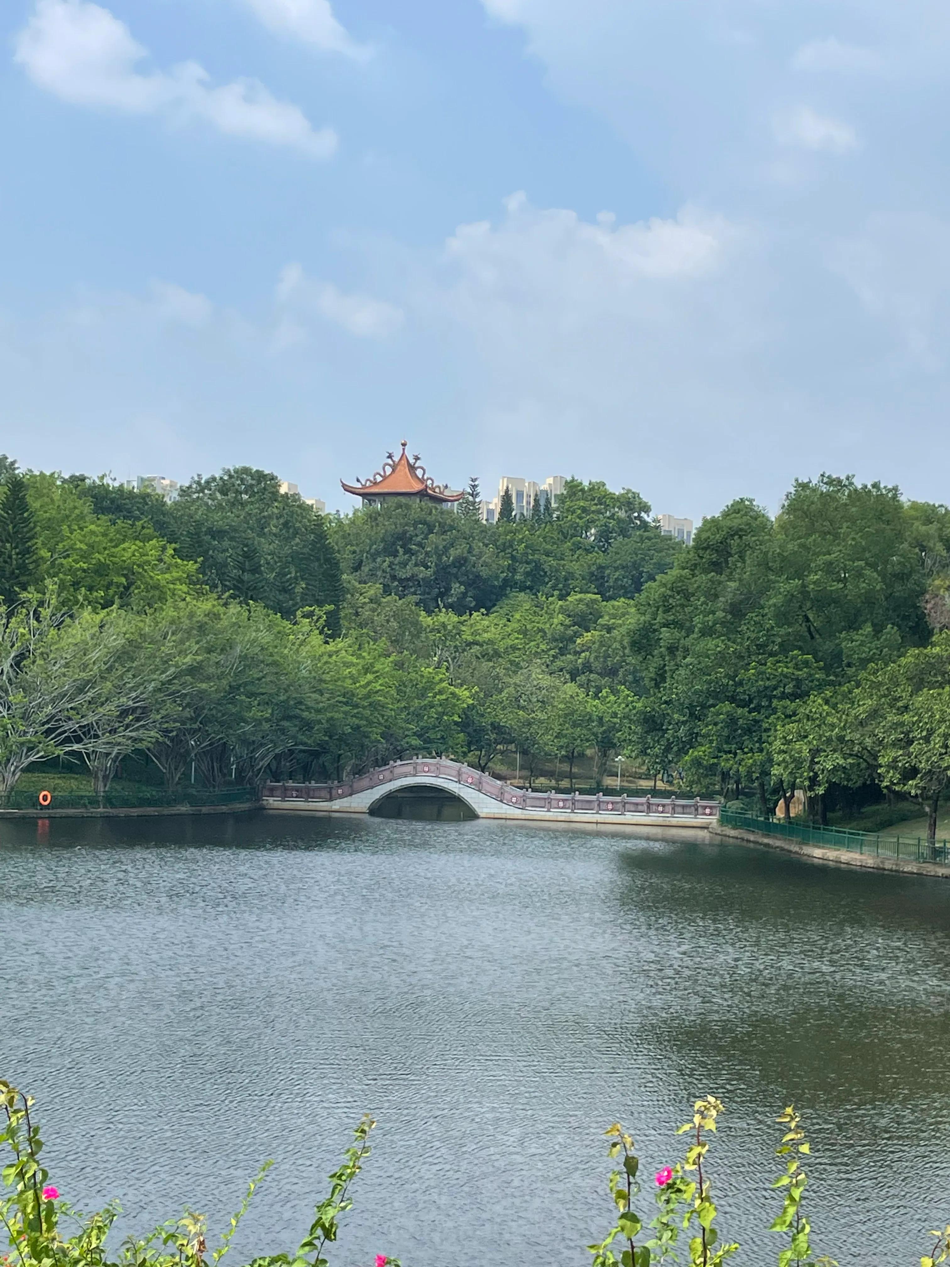 龙岗五联郊野公园,深圳市龙岗区双龙公园