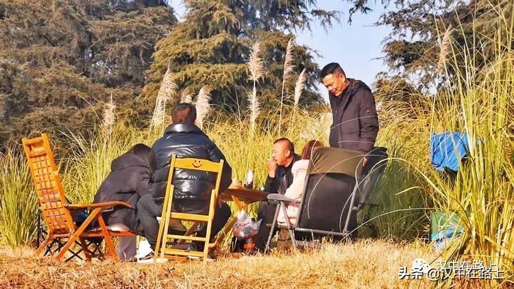 冬泳爱好者低温中畅游泳,冬泳爱好者激情畅游越冷越泳