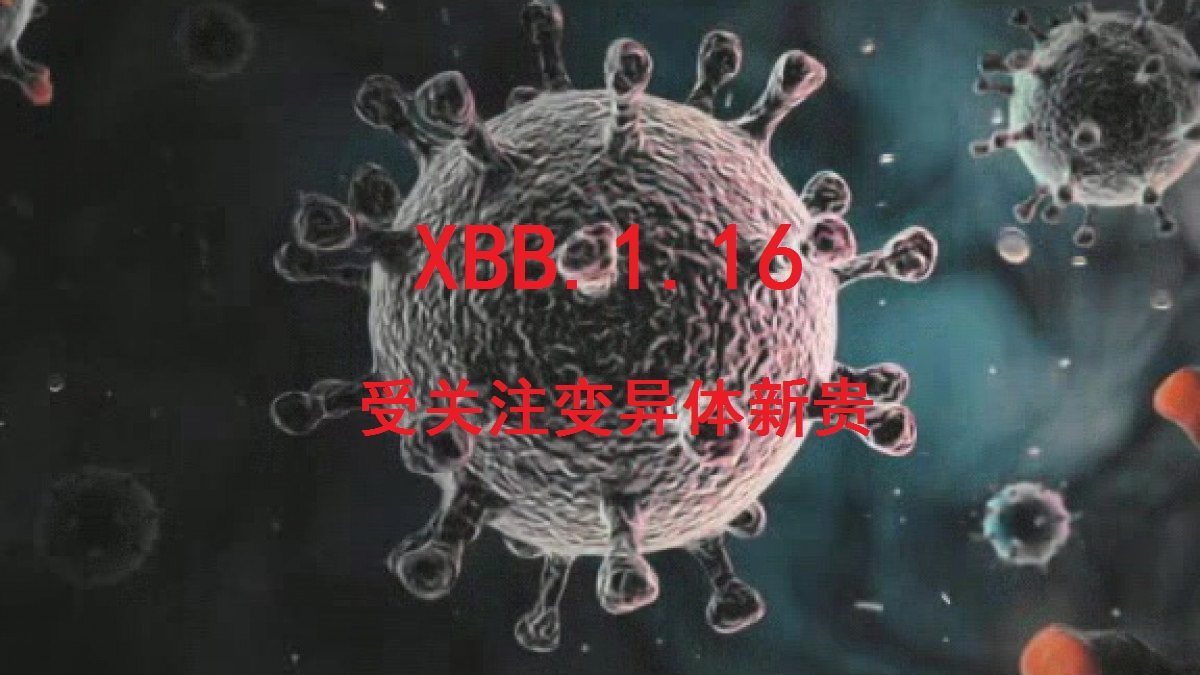 XBB.1.5，XBB.1.9.1，还是XBB.1.16，谁将成我国二波流行的推手？
