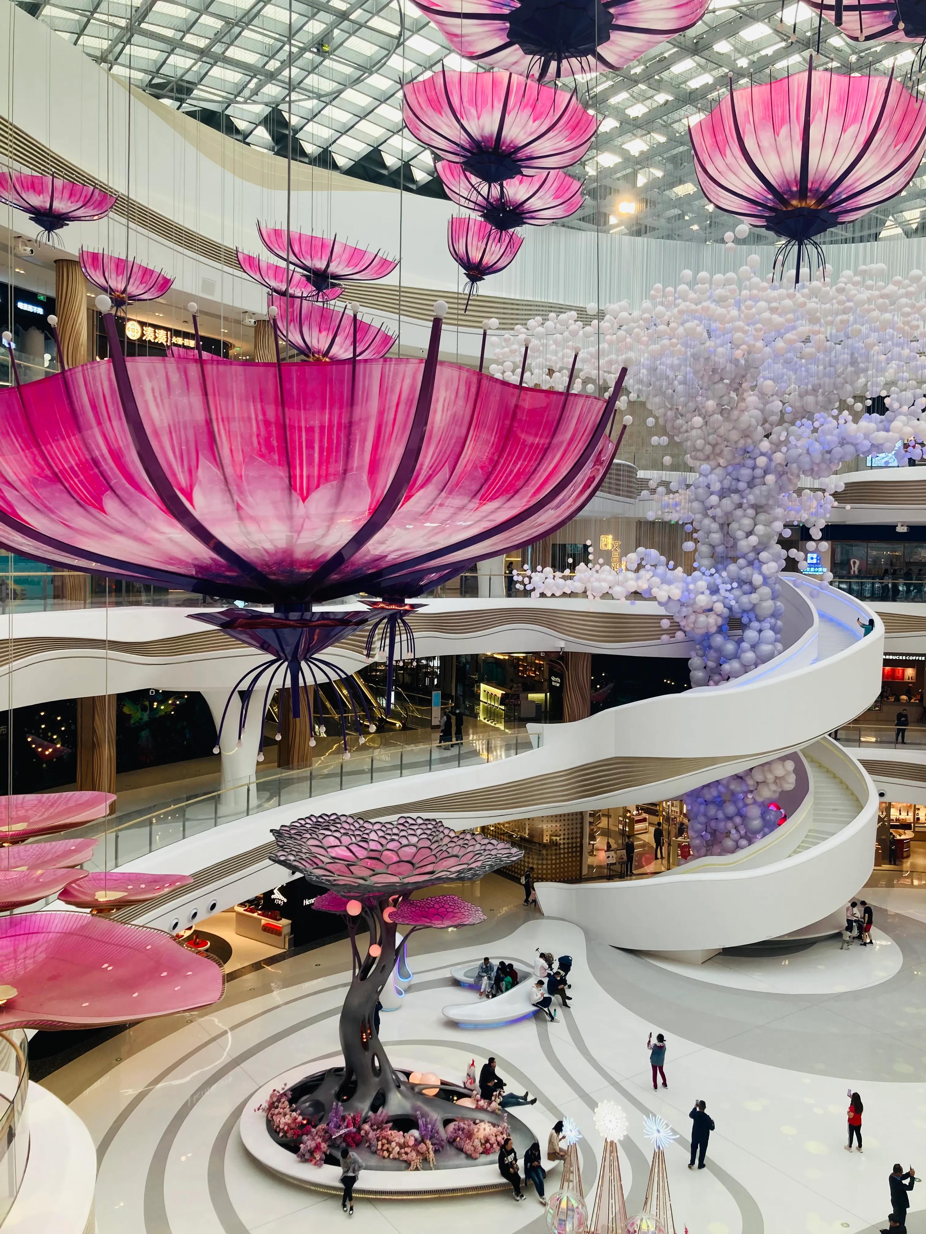 丁丁的第一次旅行心得感悟,丁丁的创业日记