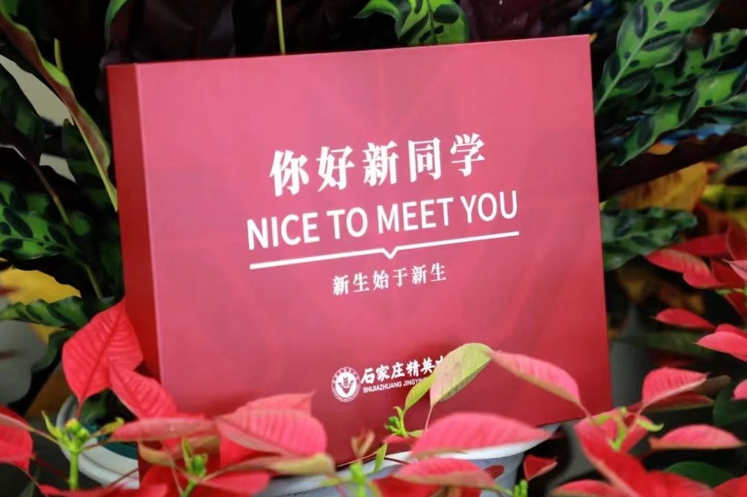 石家庄二中与石家庄精英,石家庄二中和石家庄精英哪个厉害