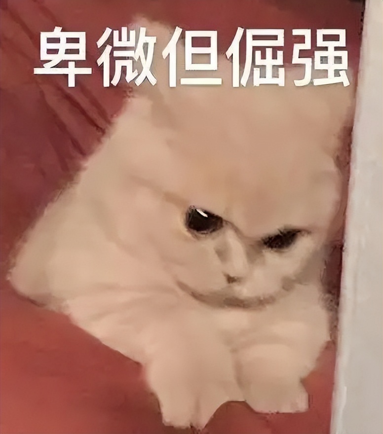 游戏改编的美剧猎魔人,超人救了全世界却救不了自己父亲