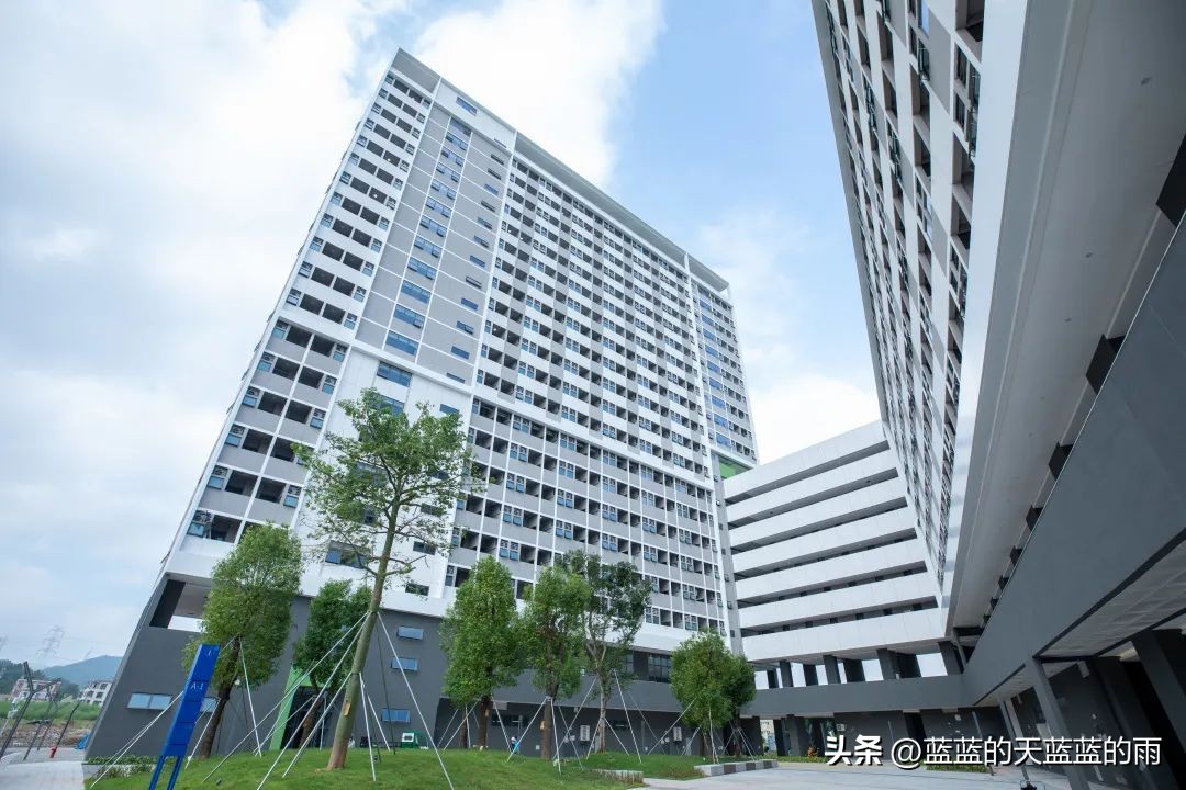 盘点那些大学神仙颜值的宿舍,那些顶级的大学宿舍