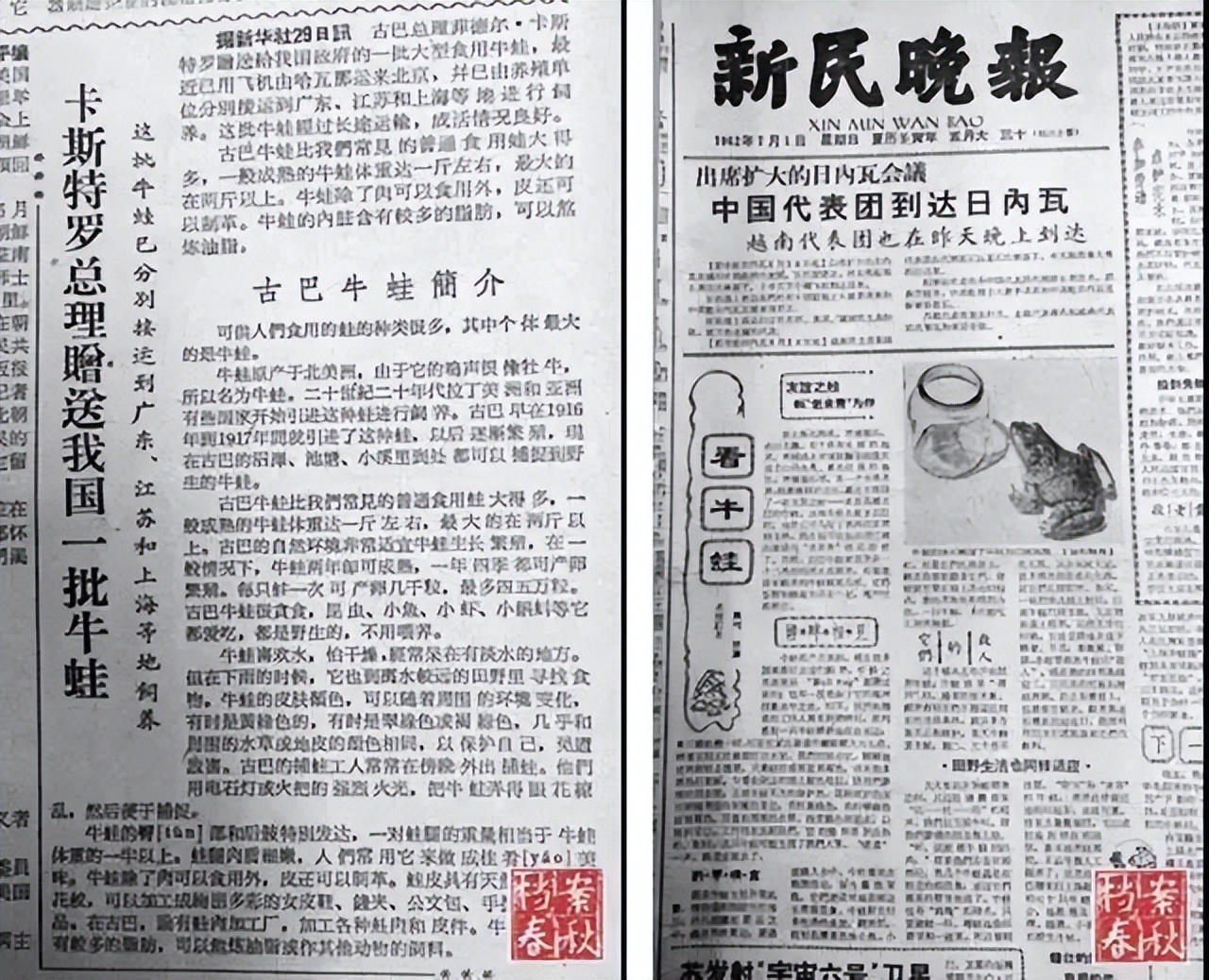 牛蛙市场未来几年的发展趋势,单品破局