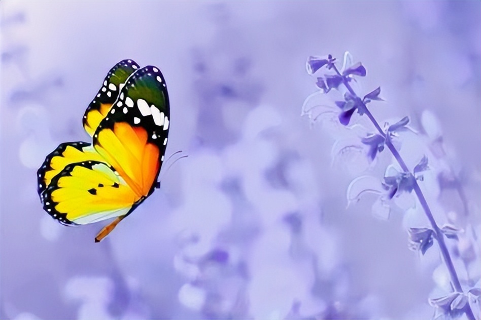 人生怎样活才合适,人生怎么才能活好自己