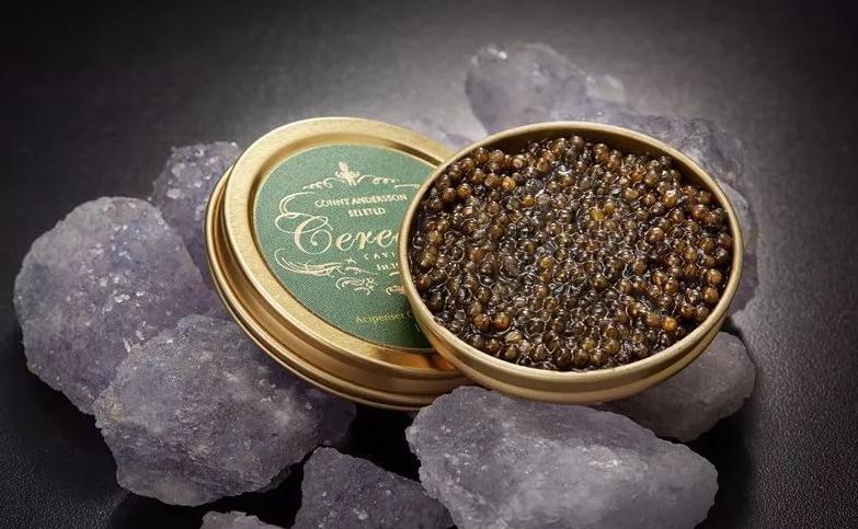 鱼子酱25万一小勺,顶级鱼子酱为什么这么贵