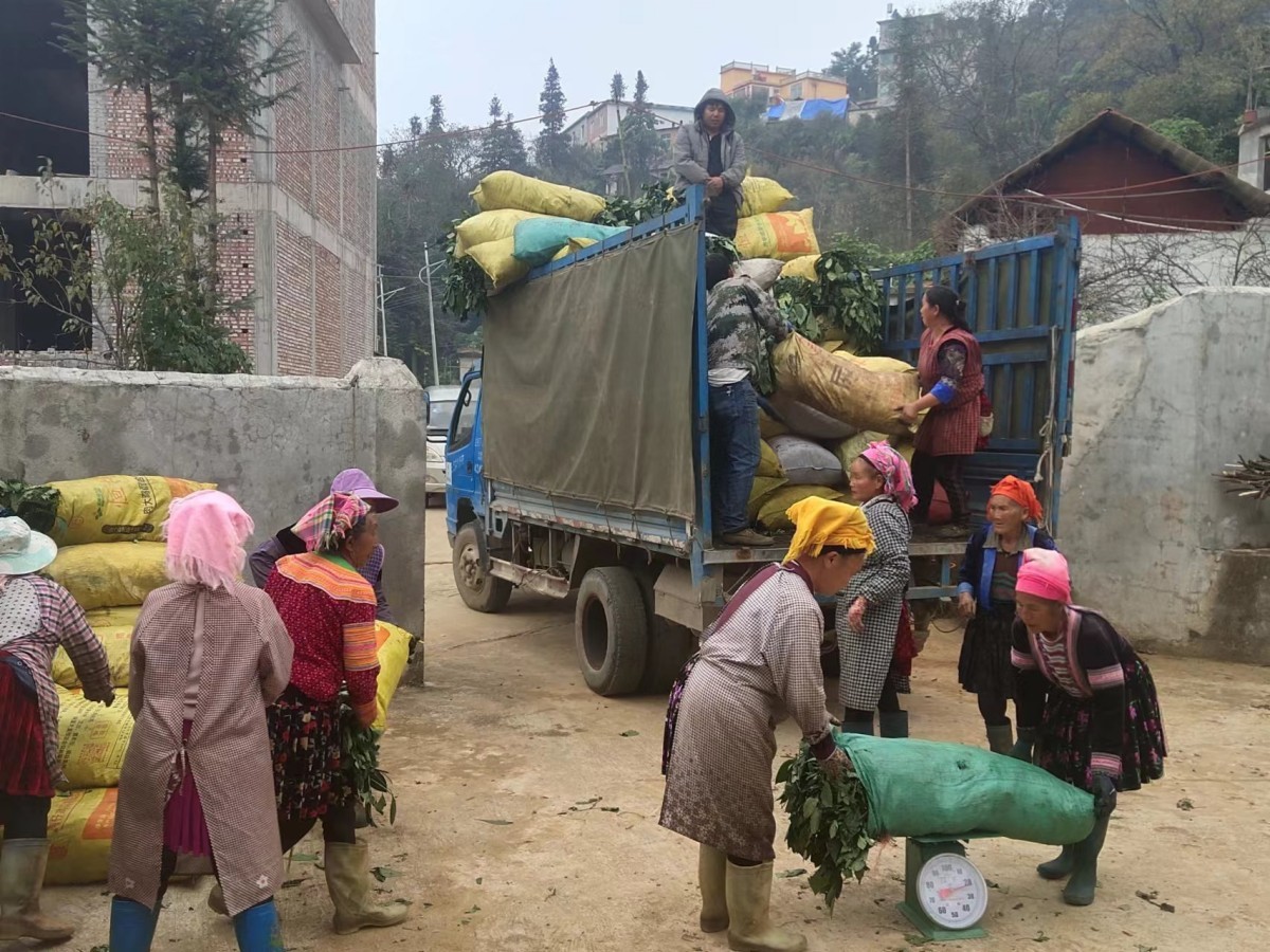 驻村工作队脱贫致富,花溪区一个驻村干部的致富金点子