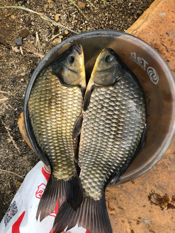 9米传统钓草洞鱼竿,传统钓草洞用什么竿