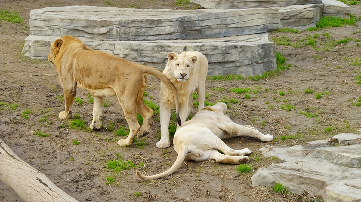 在江苏的“绿林仙海”中，寻找侠气与柔情