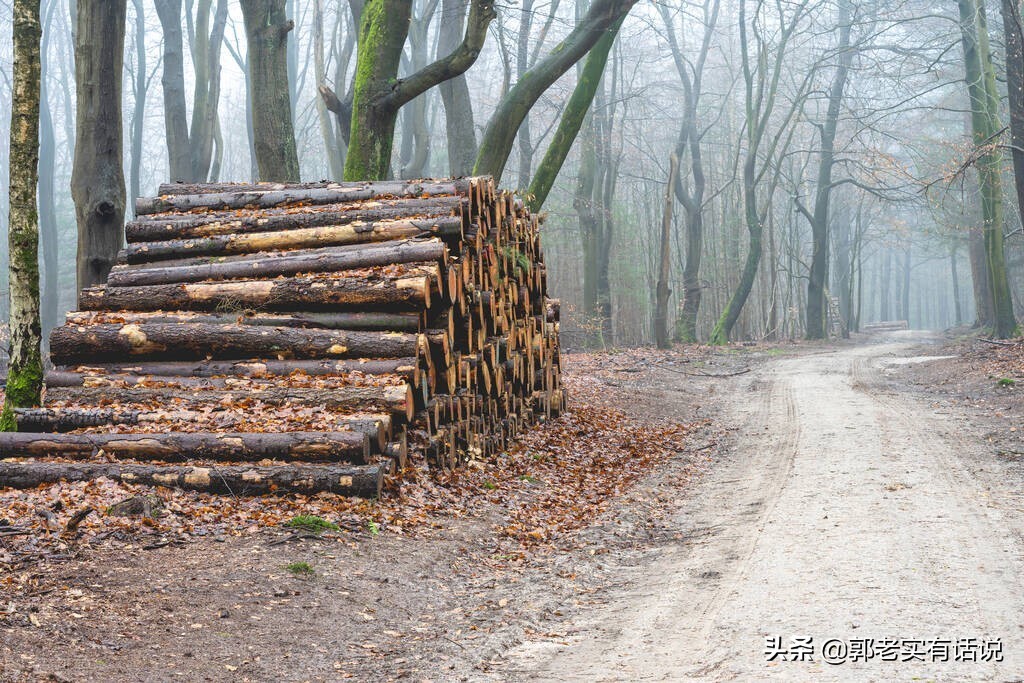 五行相生相克的关系规律,五行相生相克的关系的详细解释