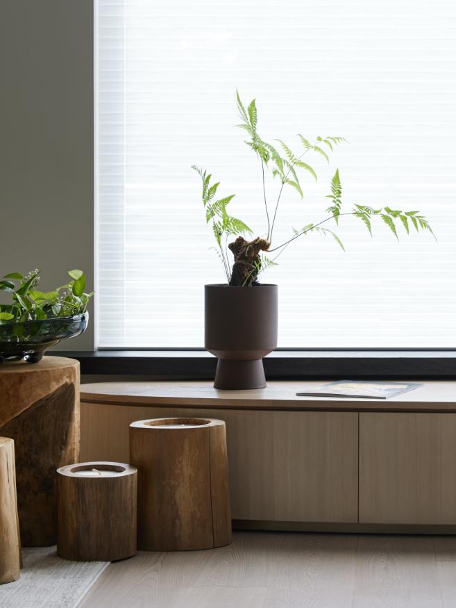 在野外露营生活日常,每天都在深山老林记录生活