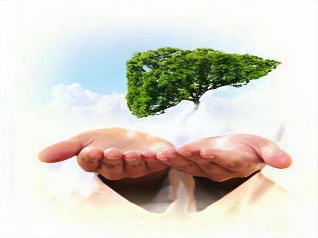 百合固金丸养阴润肺的中成药,专治口干鼻干百合固金丸