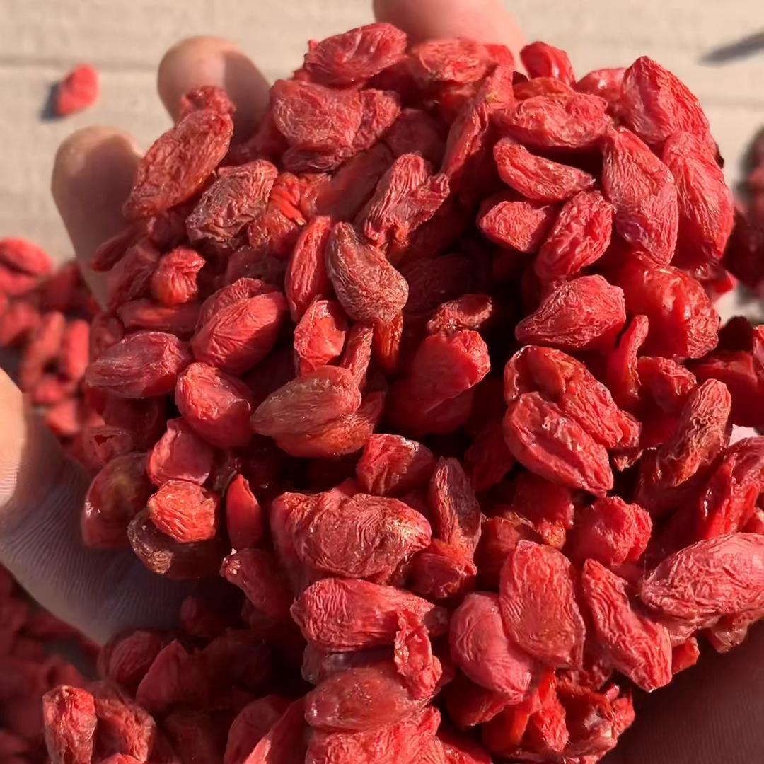 三种枸杞今天给你们讲清楚，你喜欢哪个枸杞#农村守护人