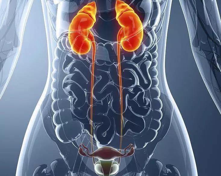 老年人尿路感染,背后的原因更让人心酸……