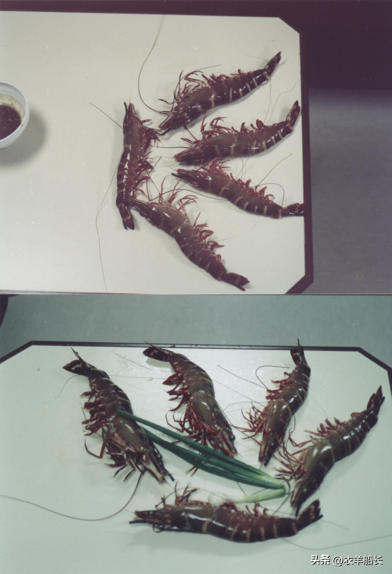 印度见闻——Paradip港买鱼轶事（2）