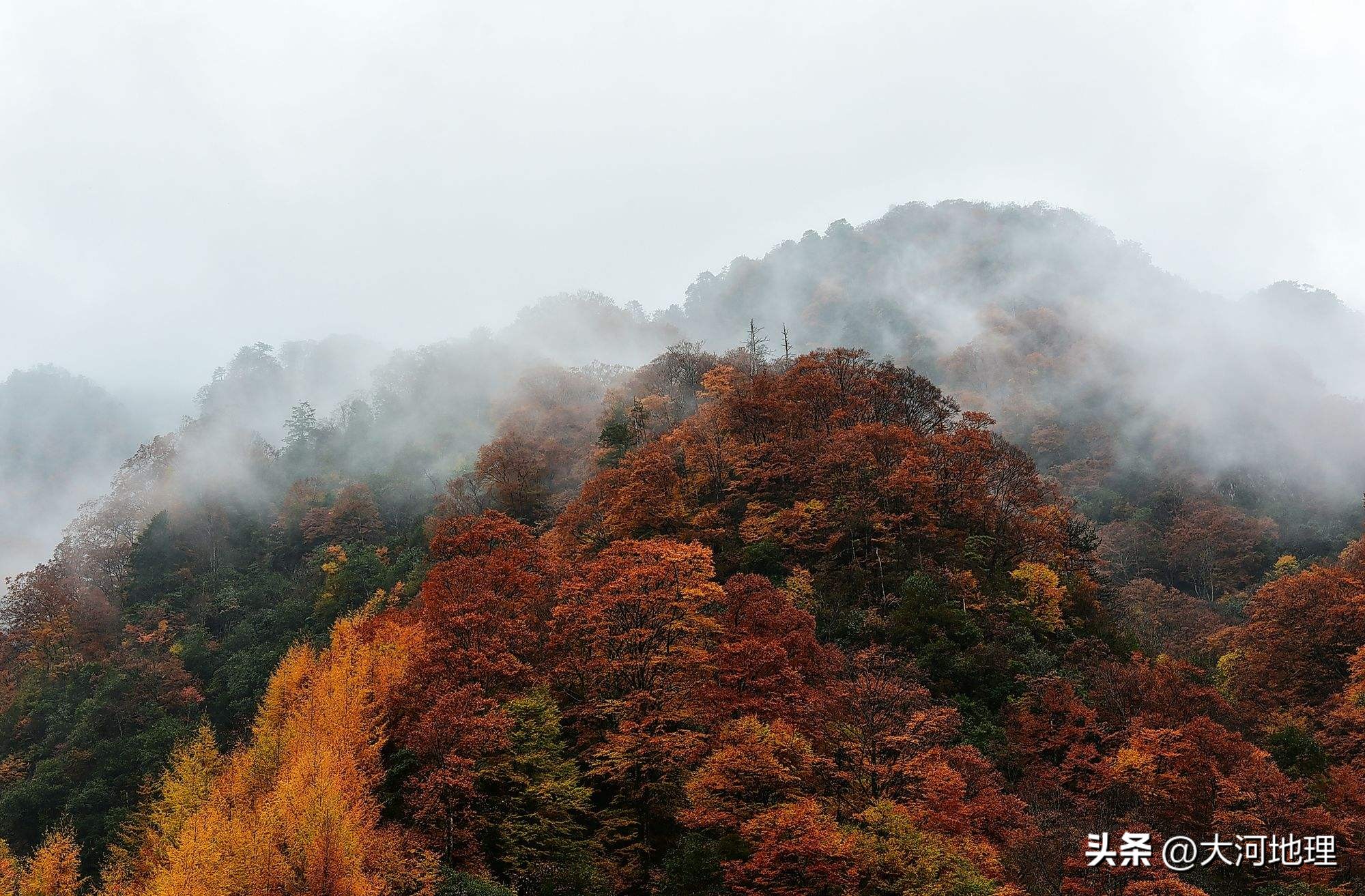 旅游攻略国内十大必去景点南方,中国南方著名景点