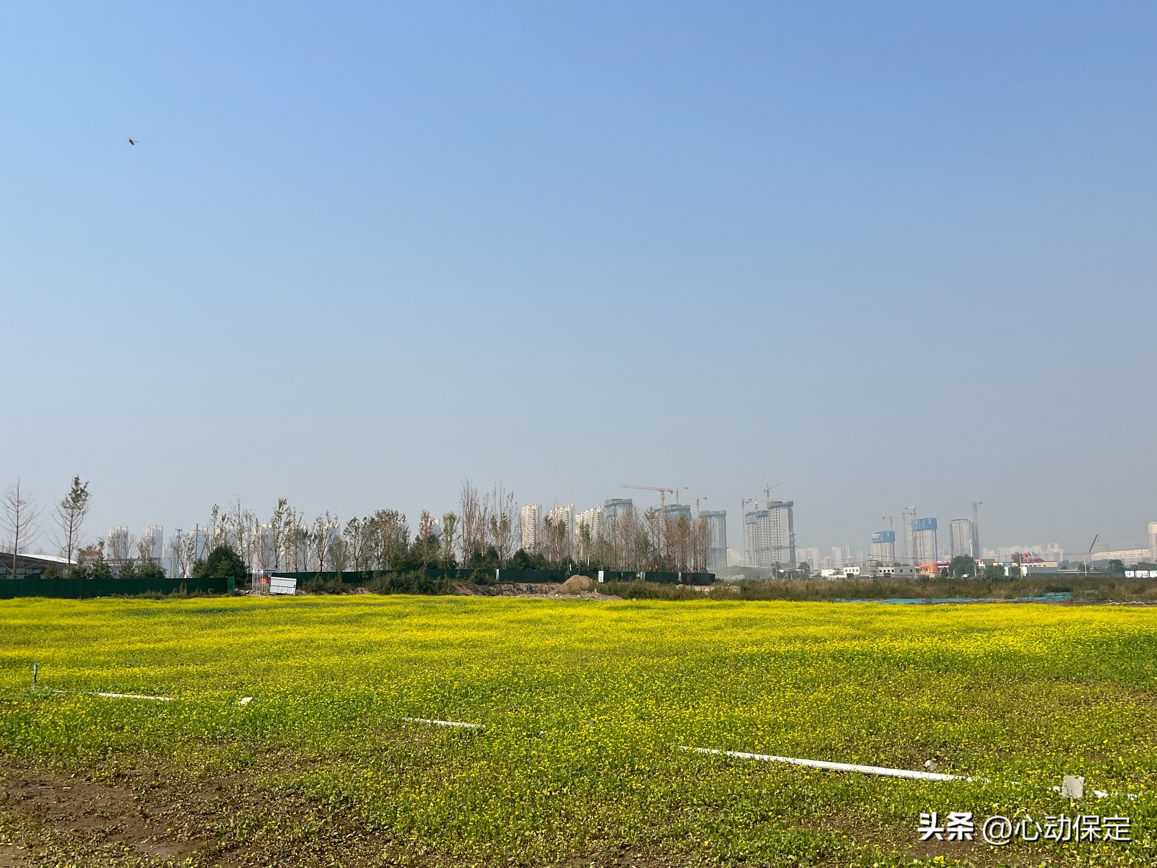 一湾碧水穿城过一幅美景入画来,一湾碧水潺潺