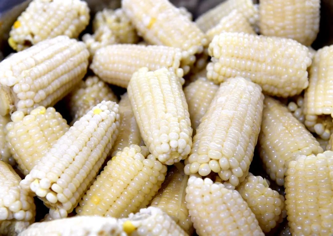 太原新希望双语学校复读好不好,太原新希望双语学校初升高