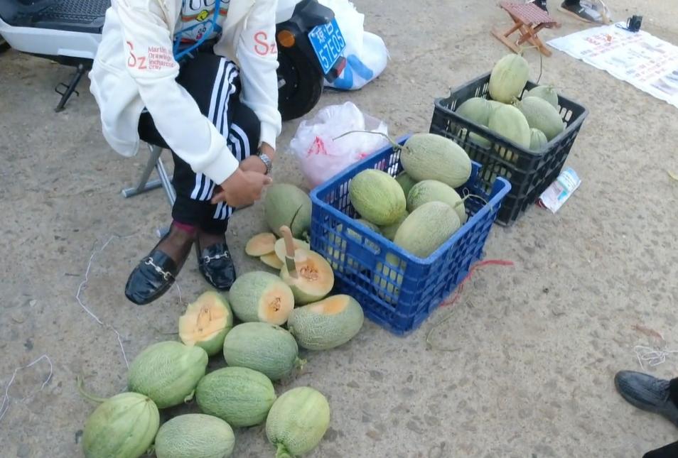 三亚大鲍鱼批发市场,三亚去哪里买海鲜最便宜