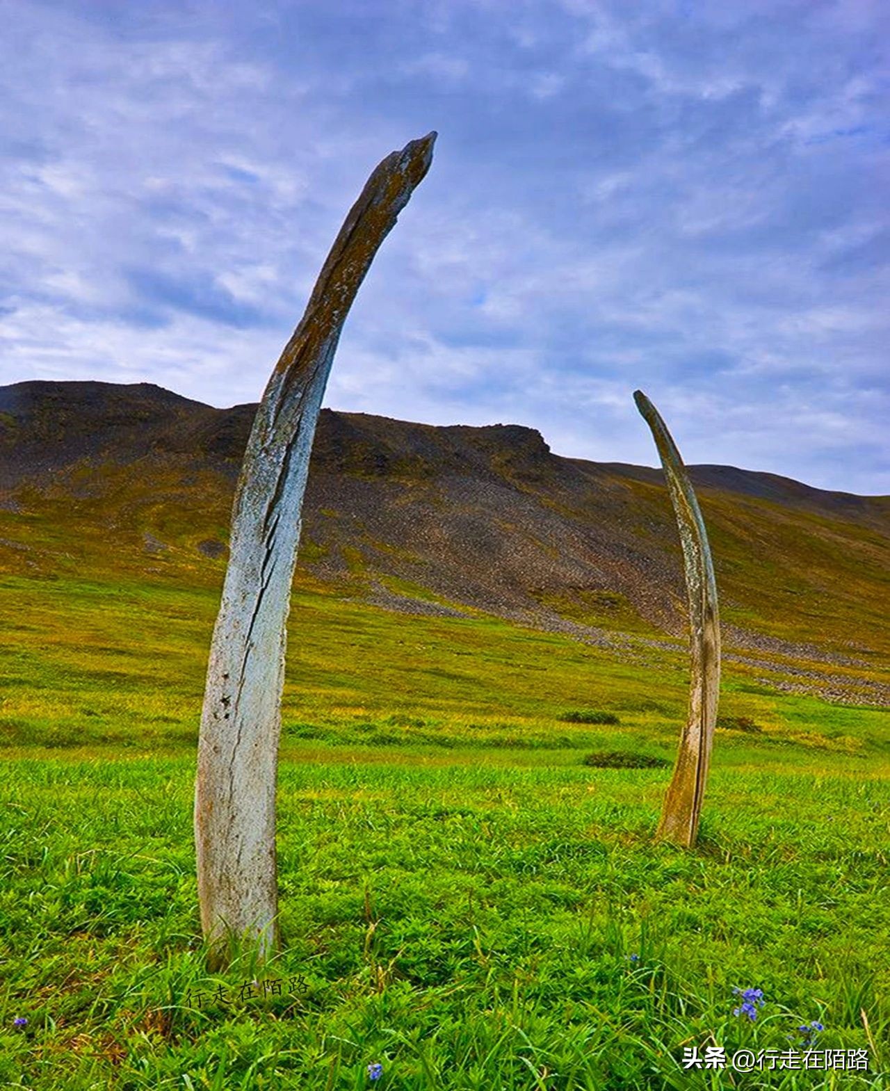 被老外忽悠的因纽特人,因纽特人被忽悠拍摄