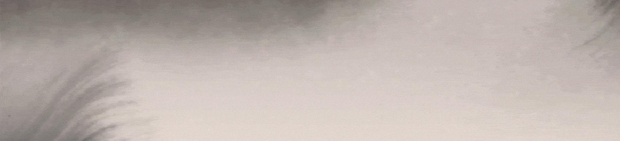 被央媒点名批评的十大明星,被央视点名批评的两位大明星