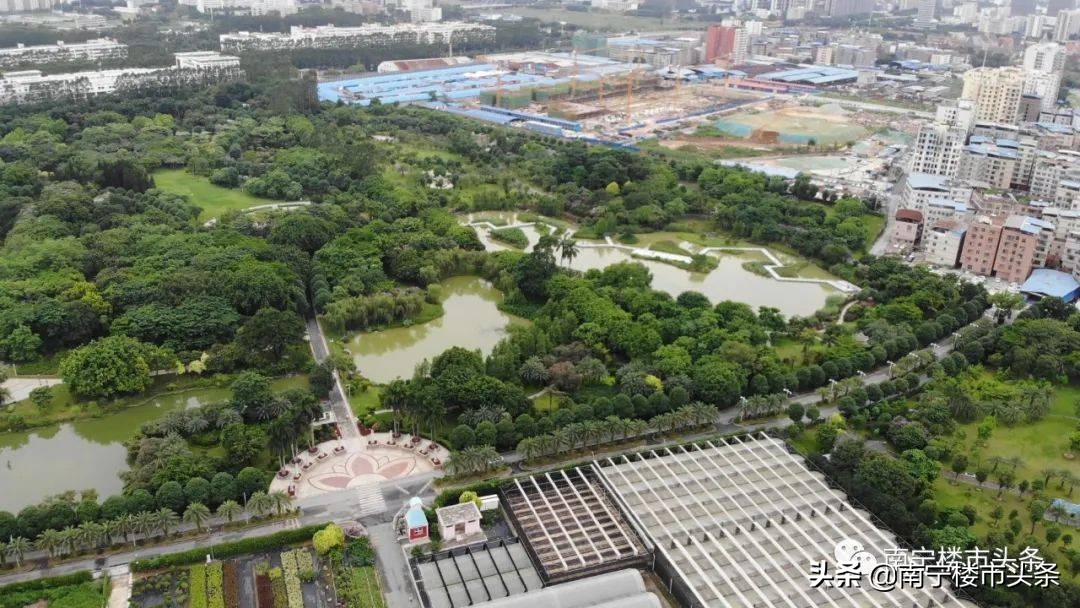 42家房企争一块地楼市真回暖了吗,房企扎堆争抢热门地块