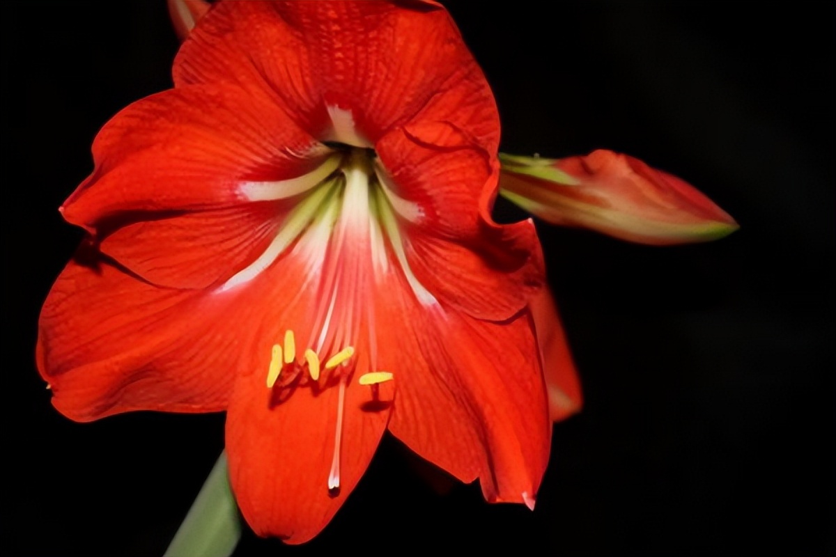 情侣之间分手正确处理方式,假分手怎么挽回