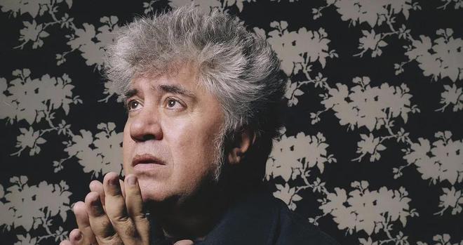 导演阿莫多瓦作品,佩德罗导演