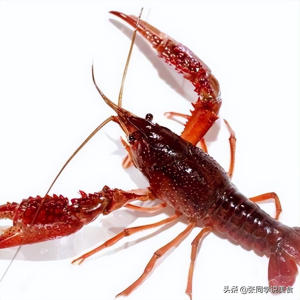小龙虾怎么烧出又辣又麻那么入味,小龙虾怎么做颜色红亮