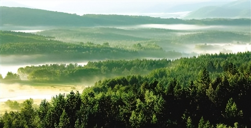 多元共治生态治理模式,多元共治的生态治理模式