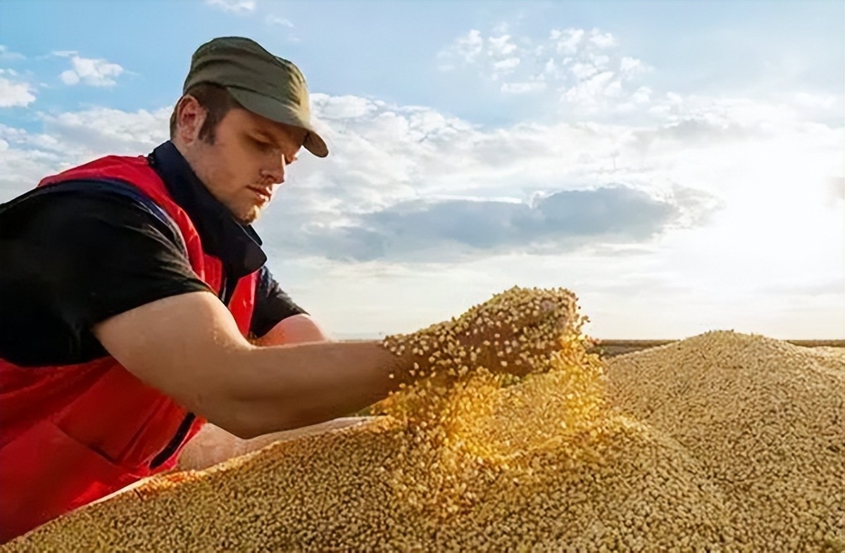 巴西对中国出口大豆问题,巴西大豆对中国出口新政策