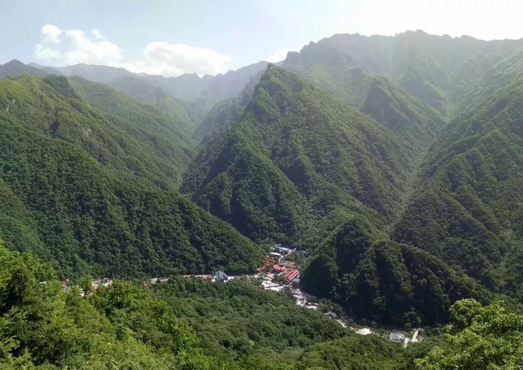 一只林麝一年能挣多少,一只林麝养殖一年一万元是真的吗