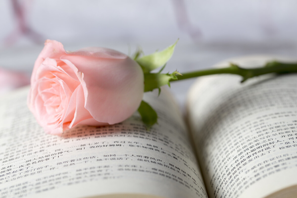 免费的个人公众号咋注册,公众号从零开始做怎样注册