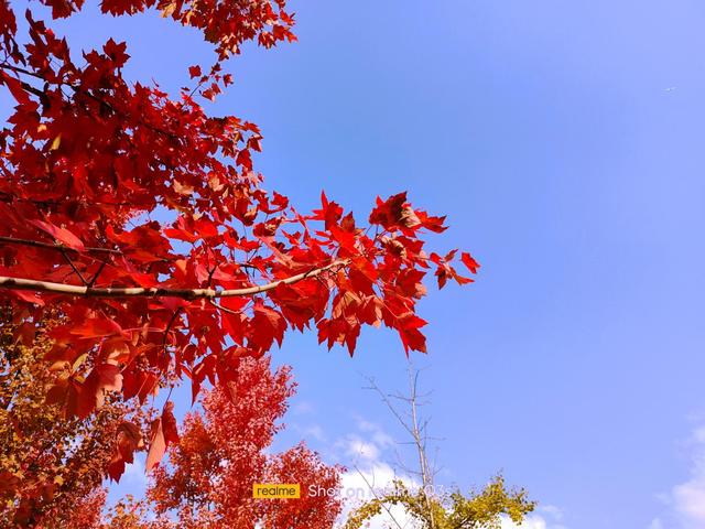 realmeq3s上手体验,realmeq3s深度评测